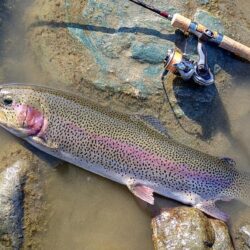 ポカポカの一日 ～天竜川ルアーフライテンカラ専用区～